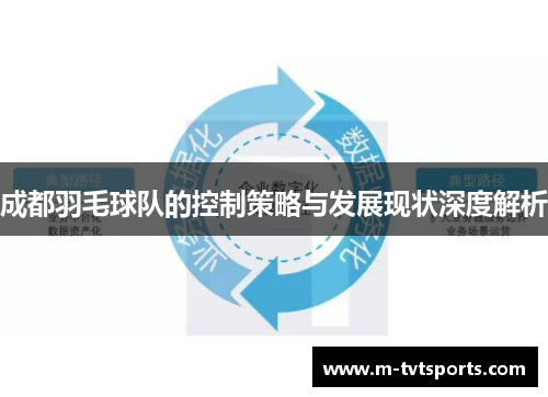 成都羽毛球队的控制策略与发展现状深度解析
